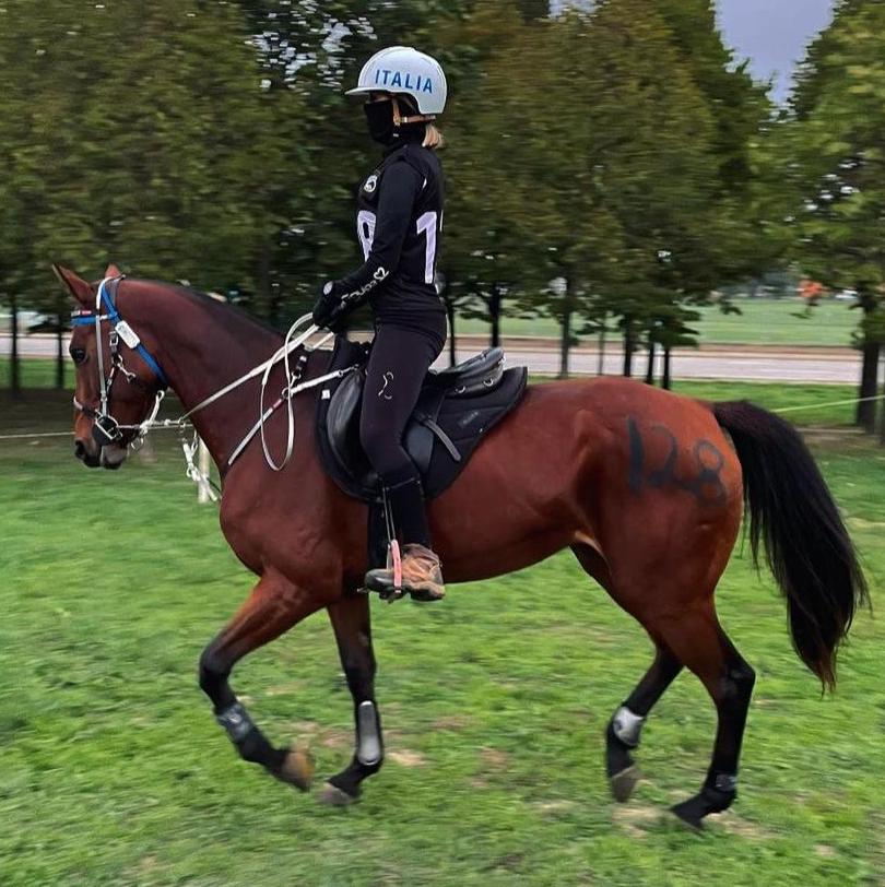 PELLICCIARI SUSANNA Rider Photo